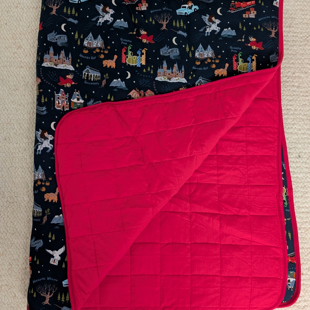 Little Sleepies Custom Harry Potter Quilt